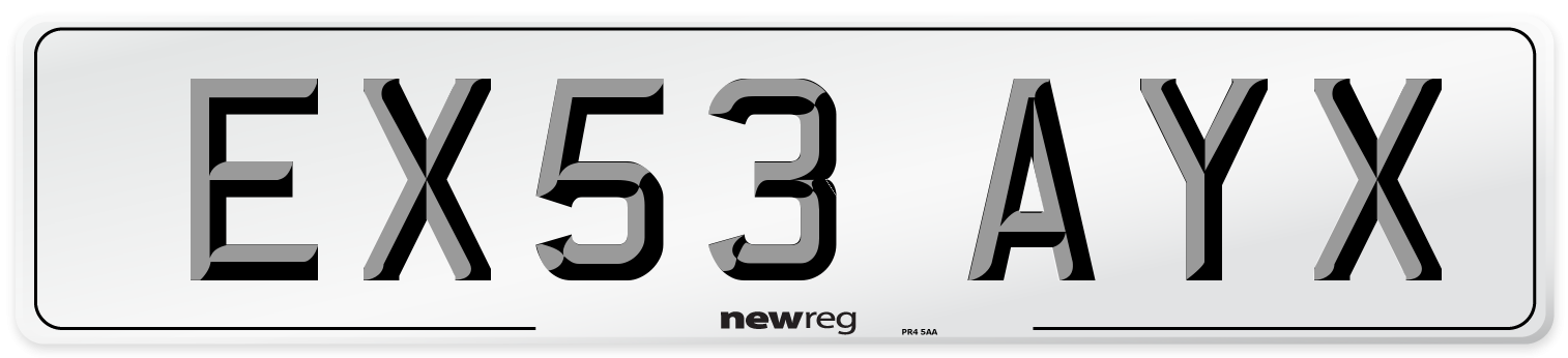 EX53 AYX Number Plate from New Reg